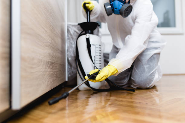 Best Emergency Pest Control  in Ravenswood, WV