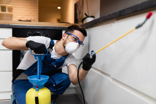 Best Pest Inspection Near Me  in Ravenswood, WV