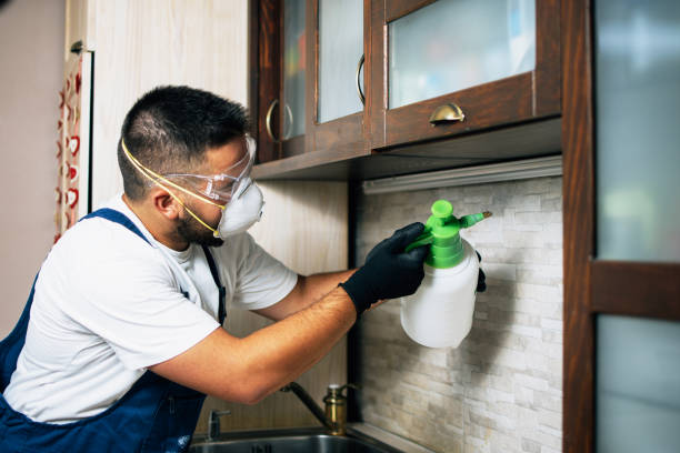 Best Best Pest Control Companies  in Ravenswood, WV