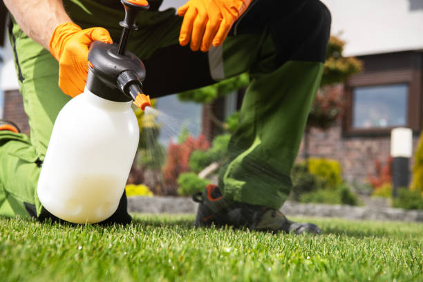 Best Bed Bug Extermination  in Ravenswood, WV